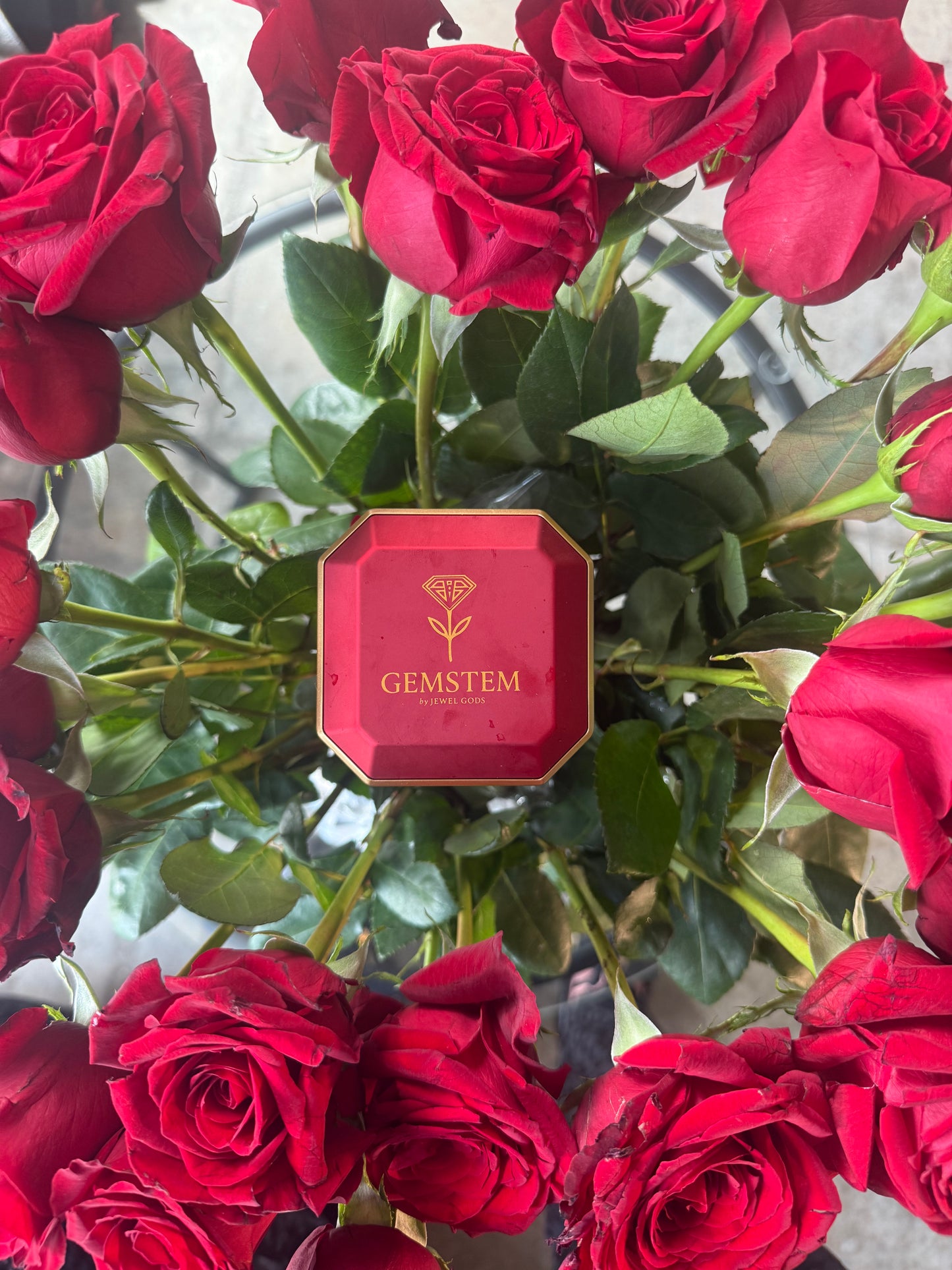 GEMSTEM WITH 1 CTW LAB DIAMOND EARRINGS