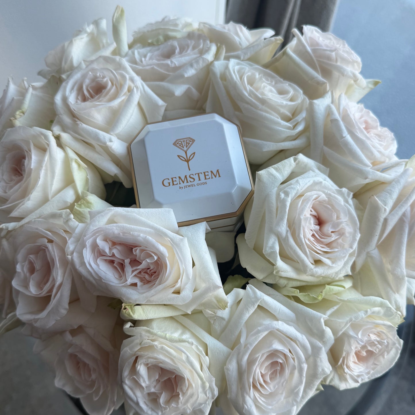 GEMSTEM™ JEWELRY PRESENTATION BOX