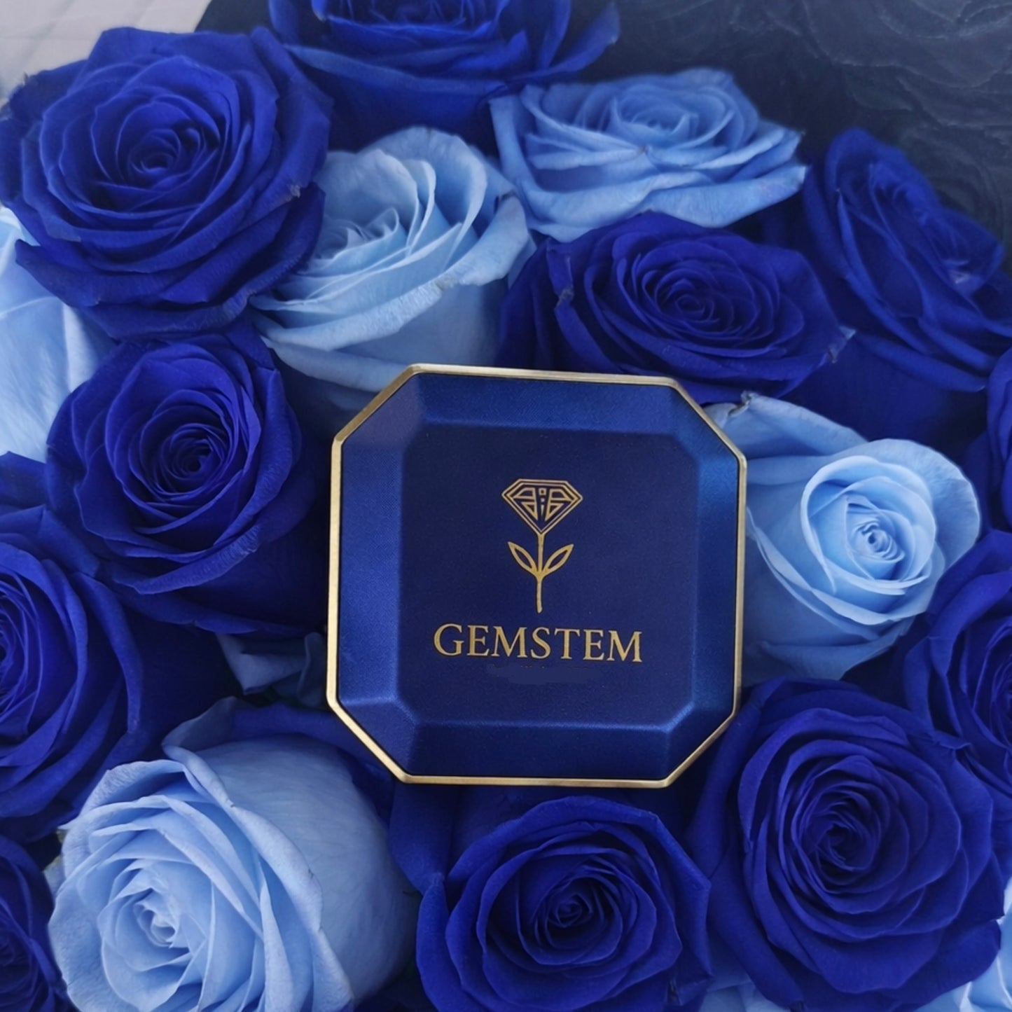 GEMSTEM™ JEWELRY PRESENTATION BOX