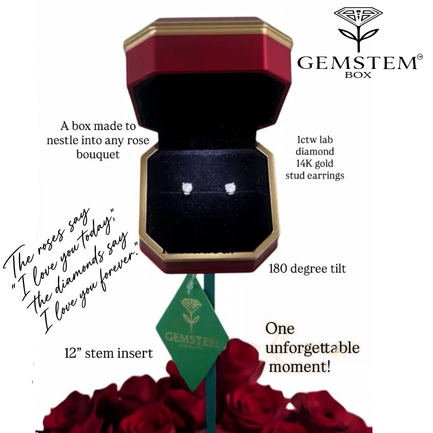 GEMSTEM™  THE EXPEREINCE   (Lab diamond Earrings And Box!)