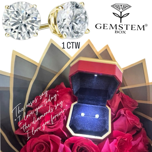 GEMSTEM™  THE EXPEREINCE   (Lab diamond Earrings And Box!)