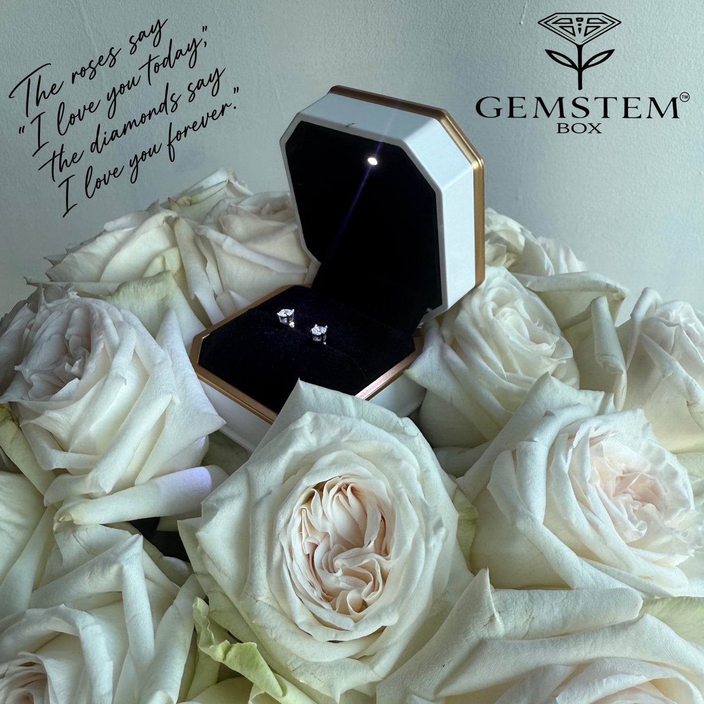 GEMSTEM™  THE EXPEREINCE   (Lab diamond Earrings And Box!)